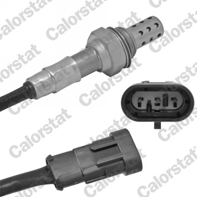 Oxygen Sensor